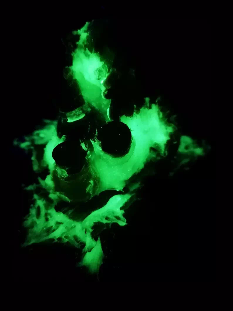 décoration monster phosphorescent