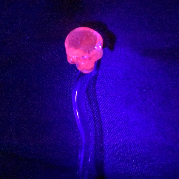 dabber uv réactif skull