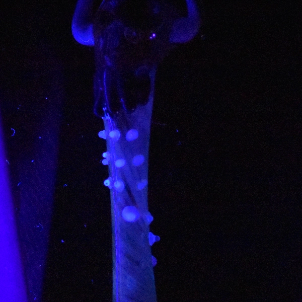 chillums crâne totem uv